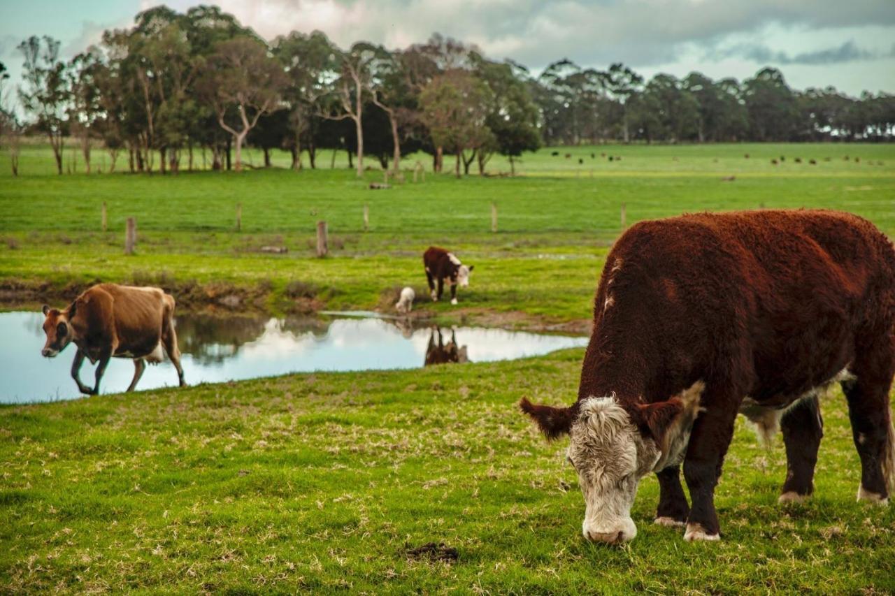 Discovery Parks Margaret River Cowaramup ภายนอก รูปภาพ